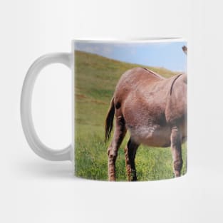 Donkey Photo Mug